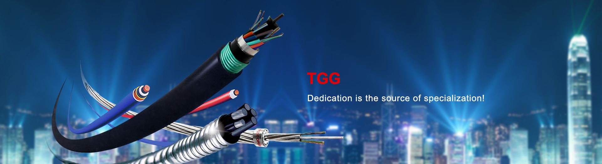 TGG—Dedication is the source of specialization!